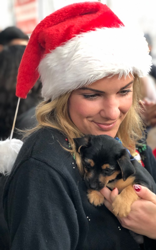 An girl holding an adorable puppy while wearing a christmas hat!