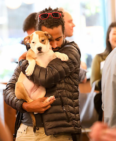 A corporate wellness employee enjoying Puppy Love's corporate wellness market franchise.