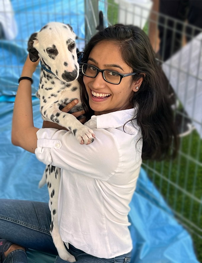 Employee playing with a puppy as part of work wellness activities.
