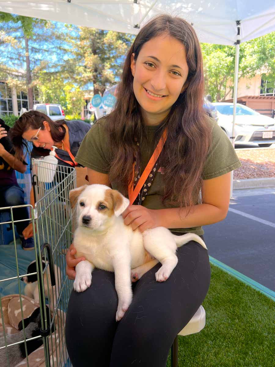 This woman gets some puppy snuggles with Puppy Love's puppy experiences in Los Angeles to San Diego.