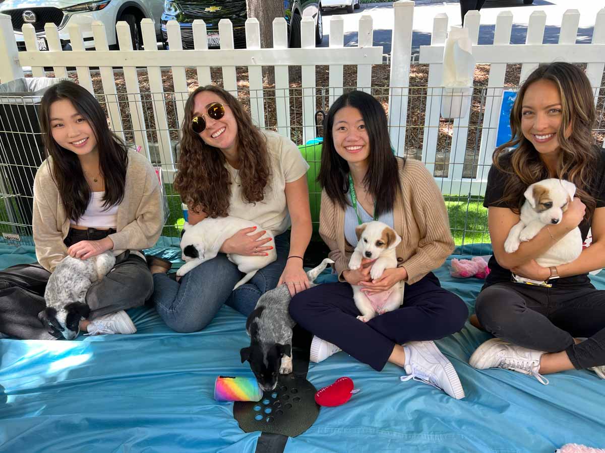 Employees playing with a puppies as part of Puppy Love's wellness group activities.