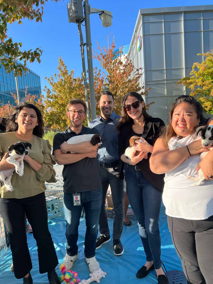 A google event with Puppy Love - showing employees that they are appreciated and loved with adorable puppies!