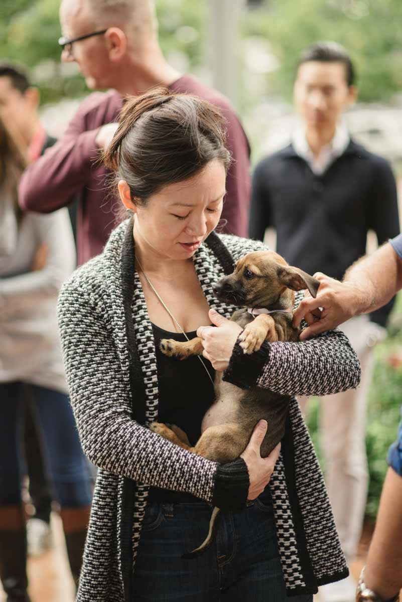 Help a Puppy Love™ Northern California dog find a forever home - book an event today!