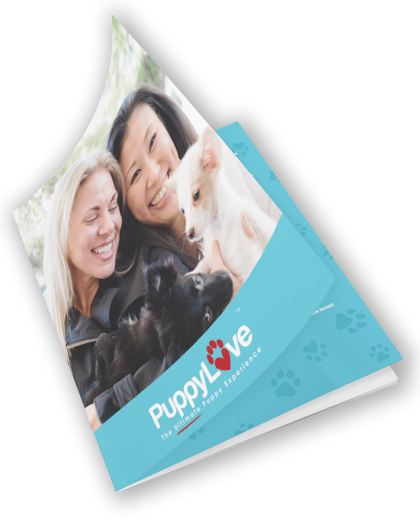 Download franchise information report for Puppy Love