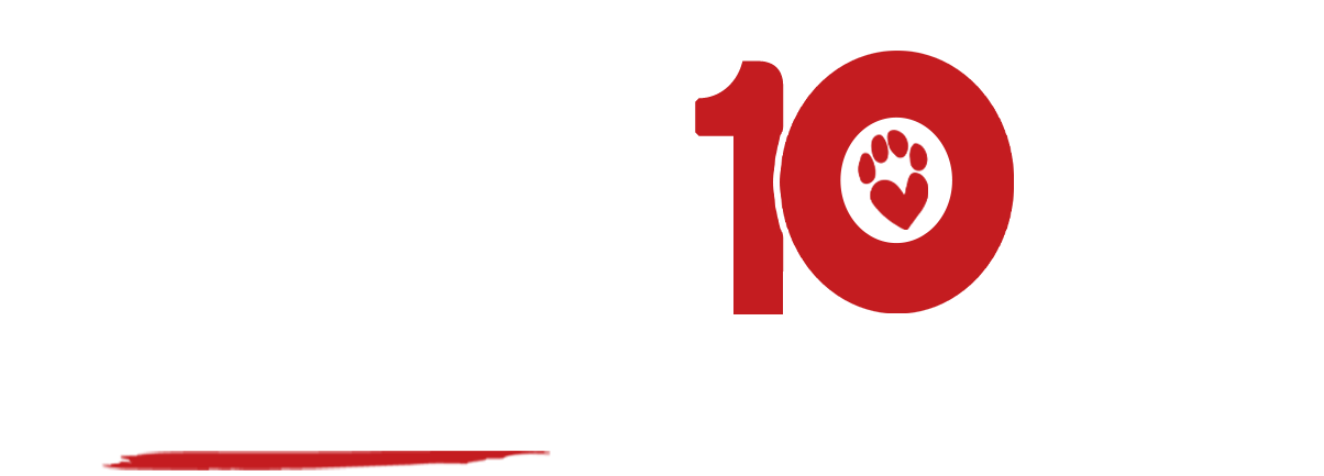 10 years logo footer-1