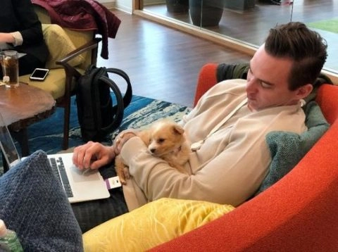 puppylove-1-480x358 What’s the Effect when Puppies Visit the Workplace?