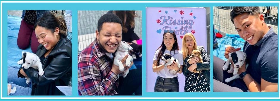 puppytherapy We Need Each Other More Than Ever During These Uncertain Times