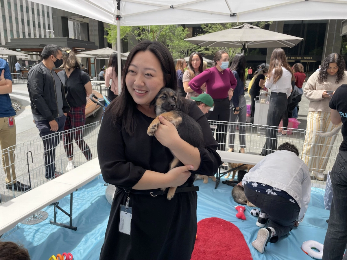 A lady in a black dress holding a brown puppy.