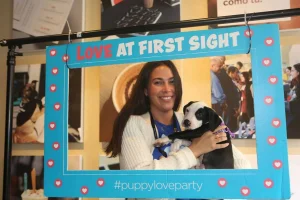 Give them puppies, and your employees will work like dogs
