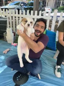 Don'T Make These Corporate Wellness Mistakes 2 Cute black and white puppy.