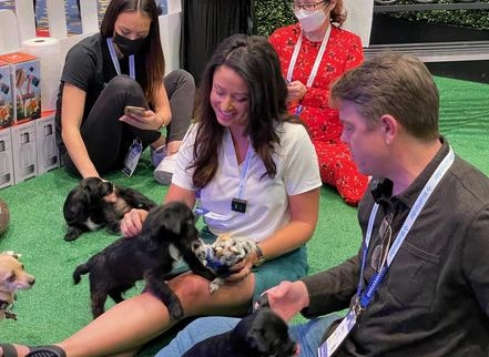 Puppies At A Trade Show? Genius!! 5 A group of expo attendies playing with black pups.