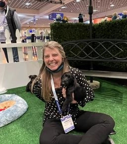 This brown lab puppy is ready to play at your next conference with puppy love™!