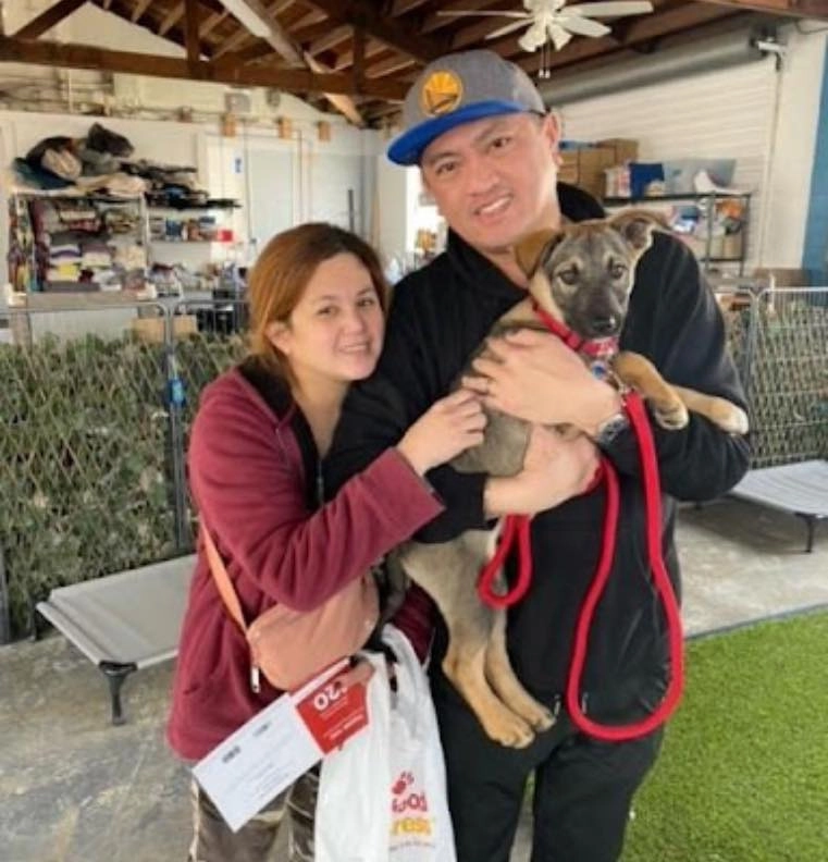 Warriors And Wagging Tails 3 Puppy love made a splash at the warriors game!