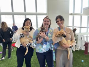 The rise of pet-friendly workplaces: a win-win for employees and employers