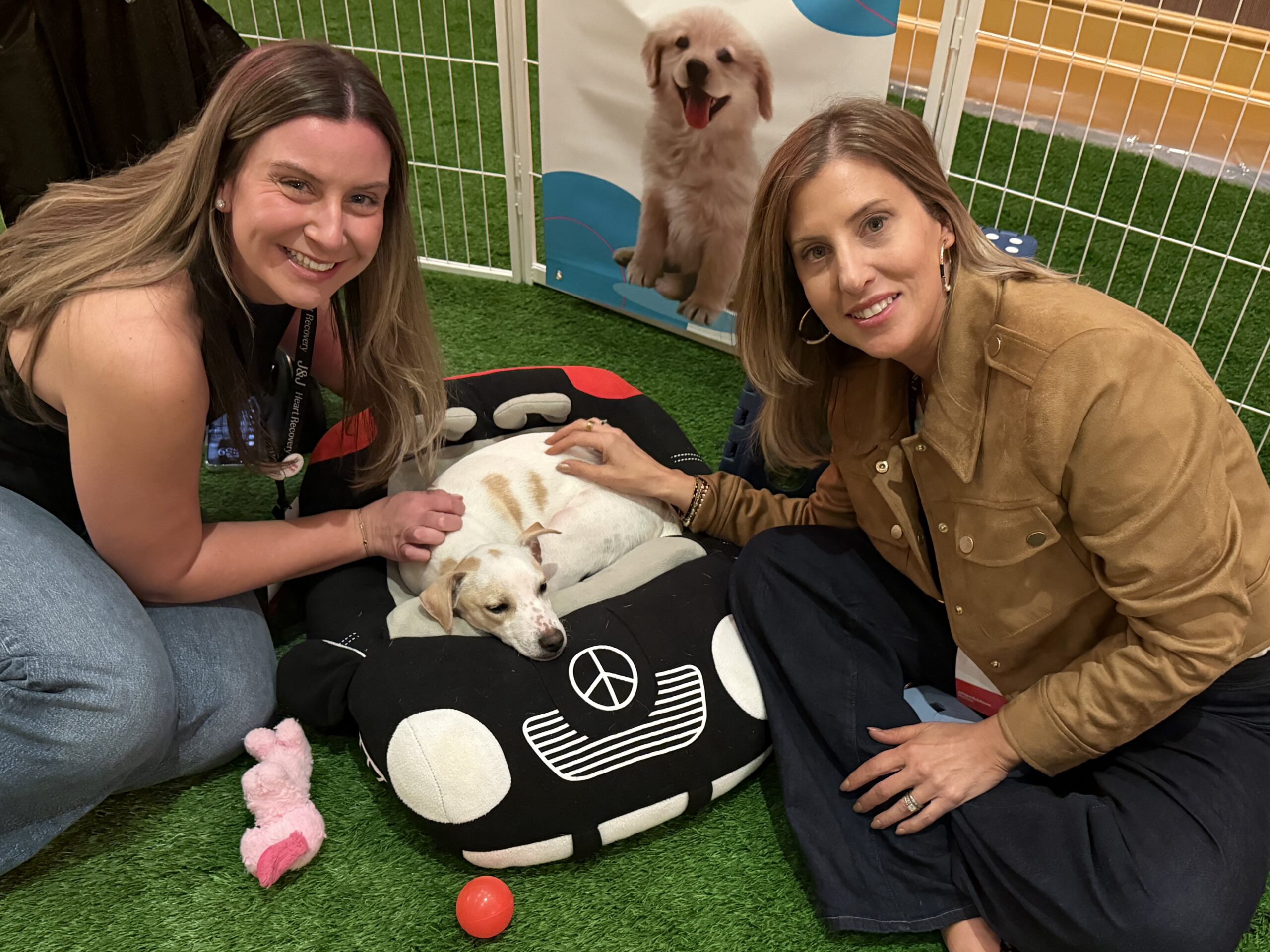 Puppy Love - Las Vegas