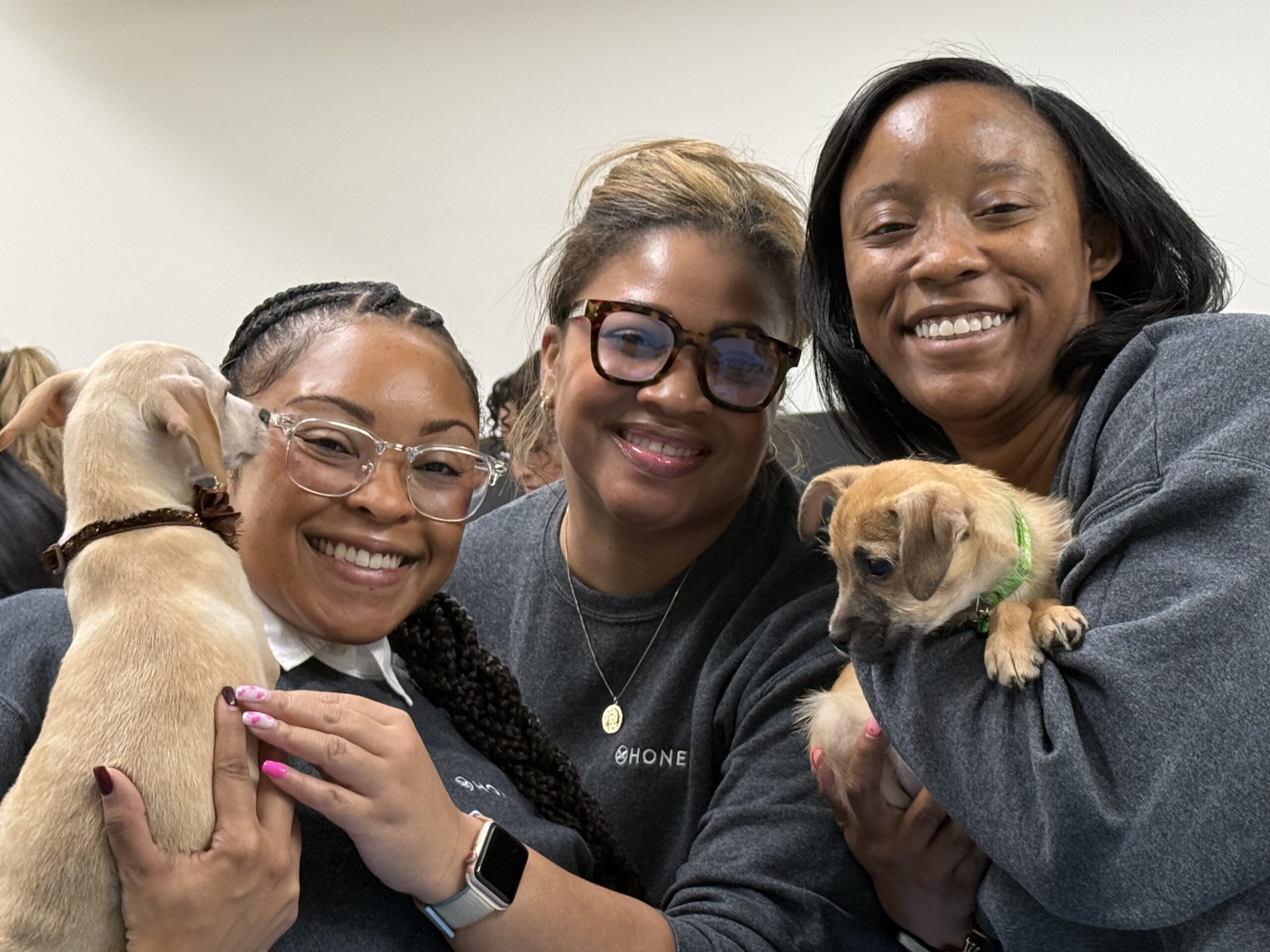 Puppy Love - Southern California