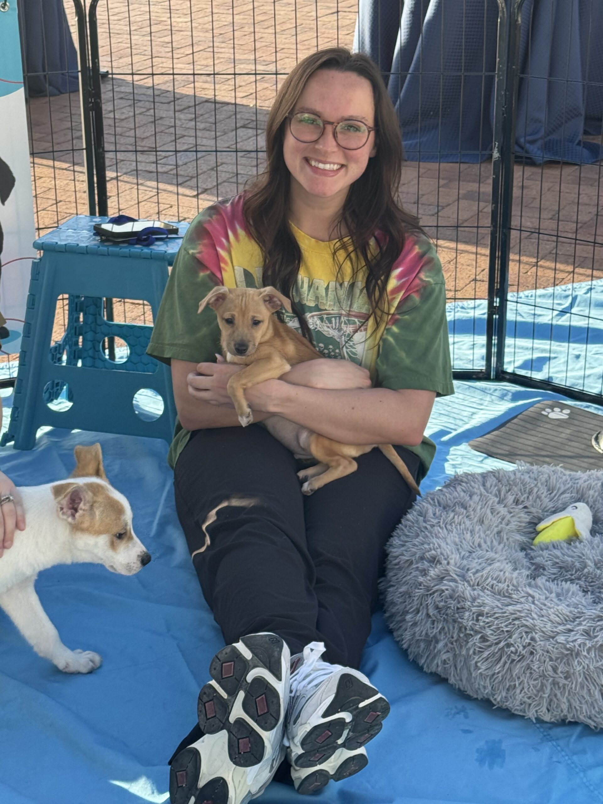 Puppy Love - Southern California