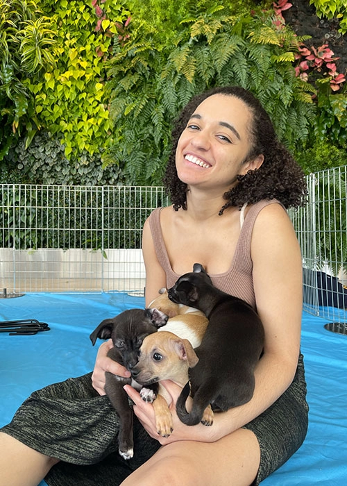 Blue-Shield-4 Wellness ideas don't have to be complicated - just adorable like puppies!