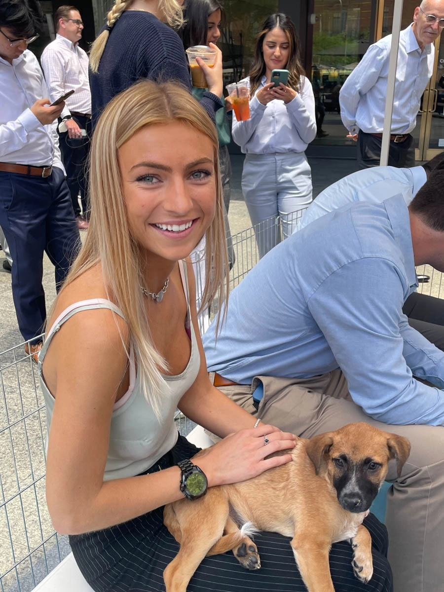 Puppy love™'s puppy experiences are the best out of box workplace wellness ideas for events.
