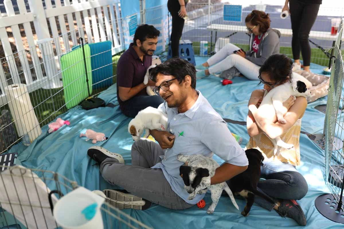 Ebay-June-40 Man with a cute puppy at a puppy experience with puppy love.
