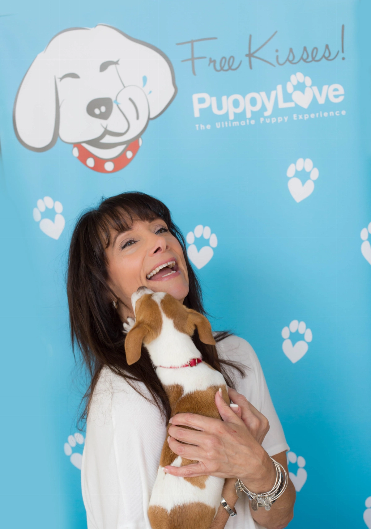 Today, Freed can say it's all been worth it. And if you've recently had an event from Puppy Love, you'll heartily agree! From wagging tales and smiling faces, a Puppy Love event has everything that makes it the perfect option for corporate wellness programs, fundraising events — and more!