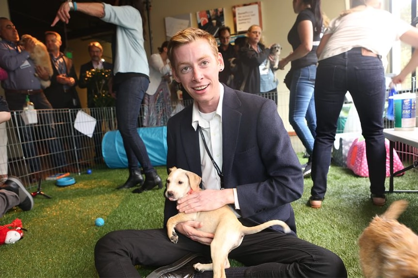 Impact-On-Employees Puppy at an ebay puppy event.