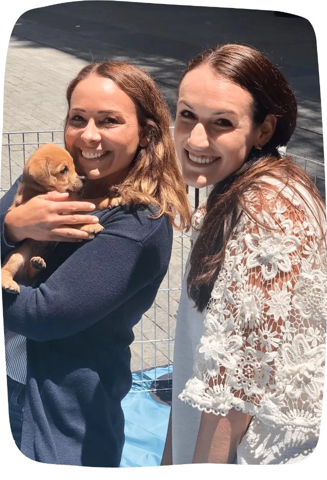 Puppy-Love-Clients Corporate puppy therapy experiences with puppy love™.