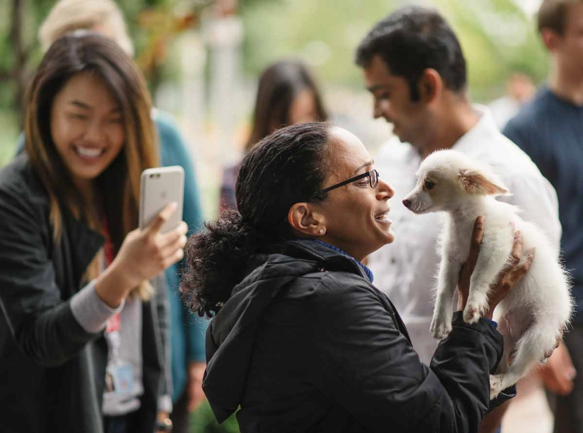 Samsung-32 Employees go gaga over puppy love™'s services.