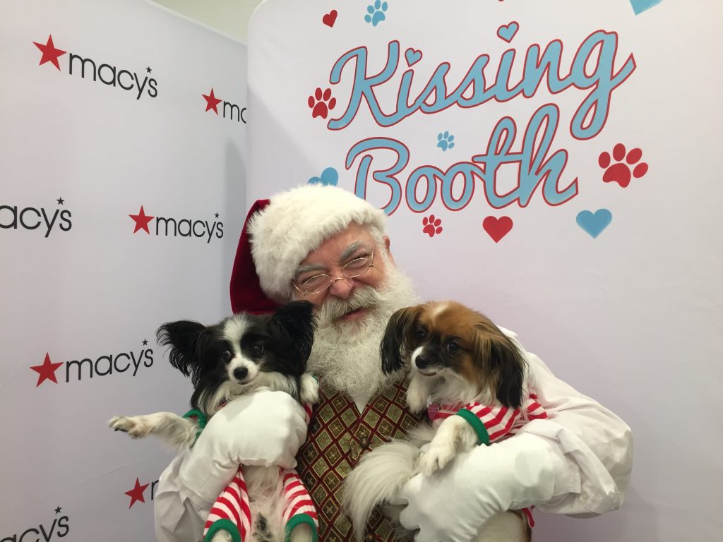 santa-becca-and-toffee-2 Corporate Wellness Activity Ideas for the Holiday
