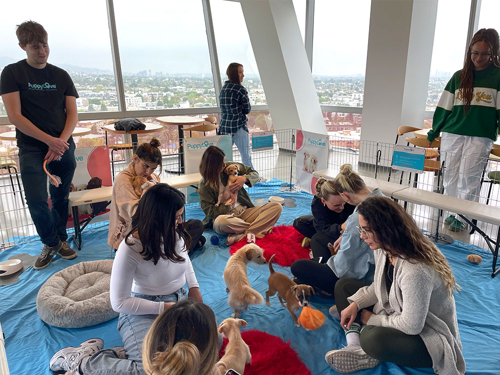 sc-6 Boosting Tenant Retention and Happiness with Puppy Love