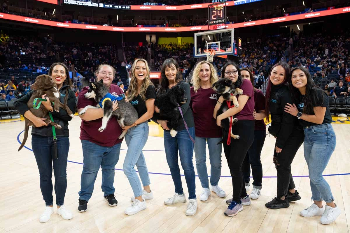 Warriors-Half-Time-11 Warriors game with puppies
