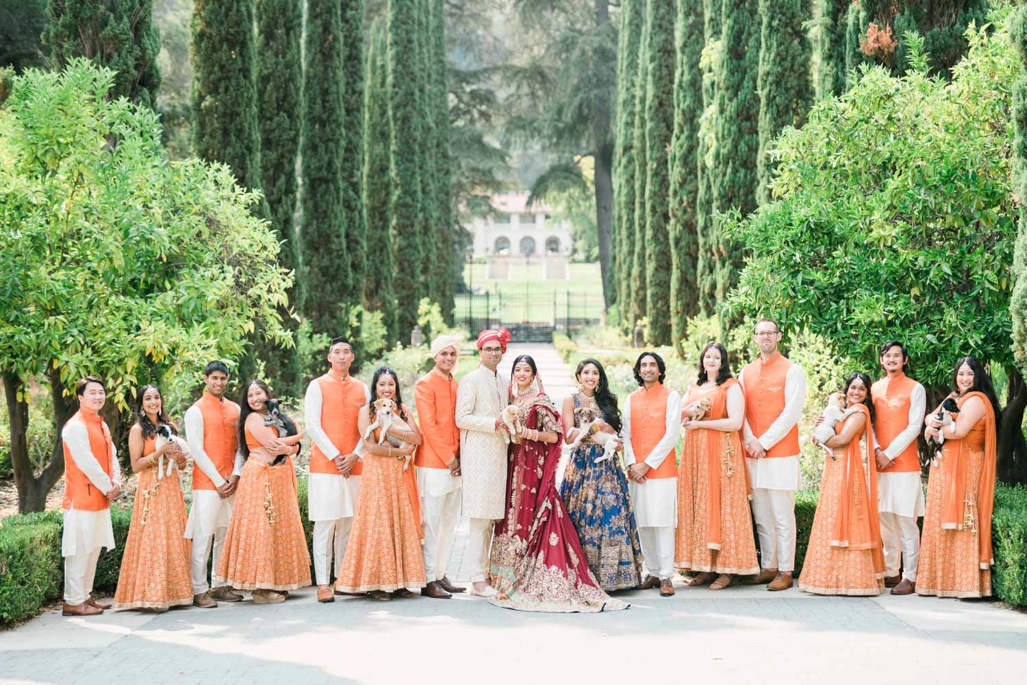 Wedding A beautiful wedding with puppy love as their out of the box wellness idea!