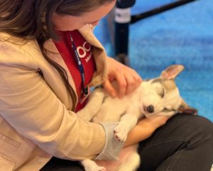 How Puppy Love™ and Wagmo Brought Joy and Wellness to Transform 20246