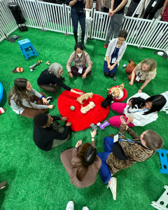 Paws for effect - group of people connecting and conversing with puppies (2)