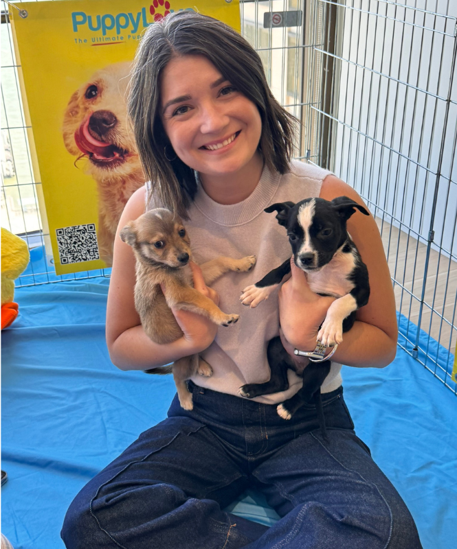 Pet friendly workplaces - puppy love