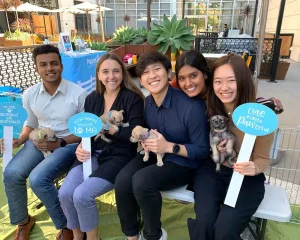 Corporate Team Building That Gets Tails Wagging 2