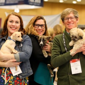 Employee wellbeing session in southern california holding puppies