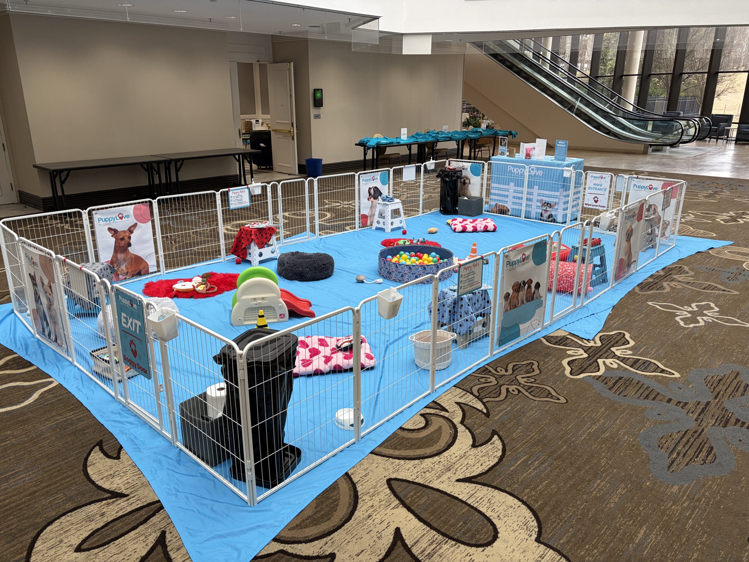 Our set up 12
