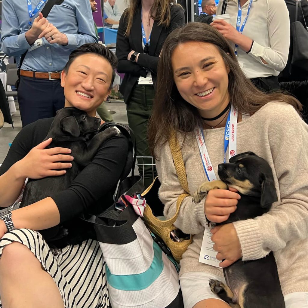 Corporate Wellness Event with puppies Employees at corporate wellness event snuggling puppies