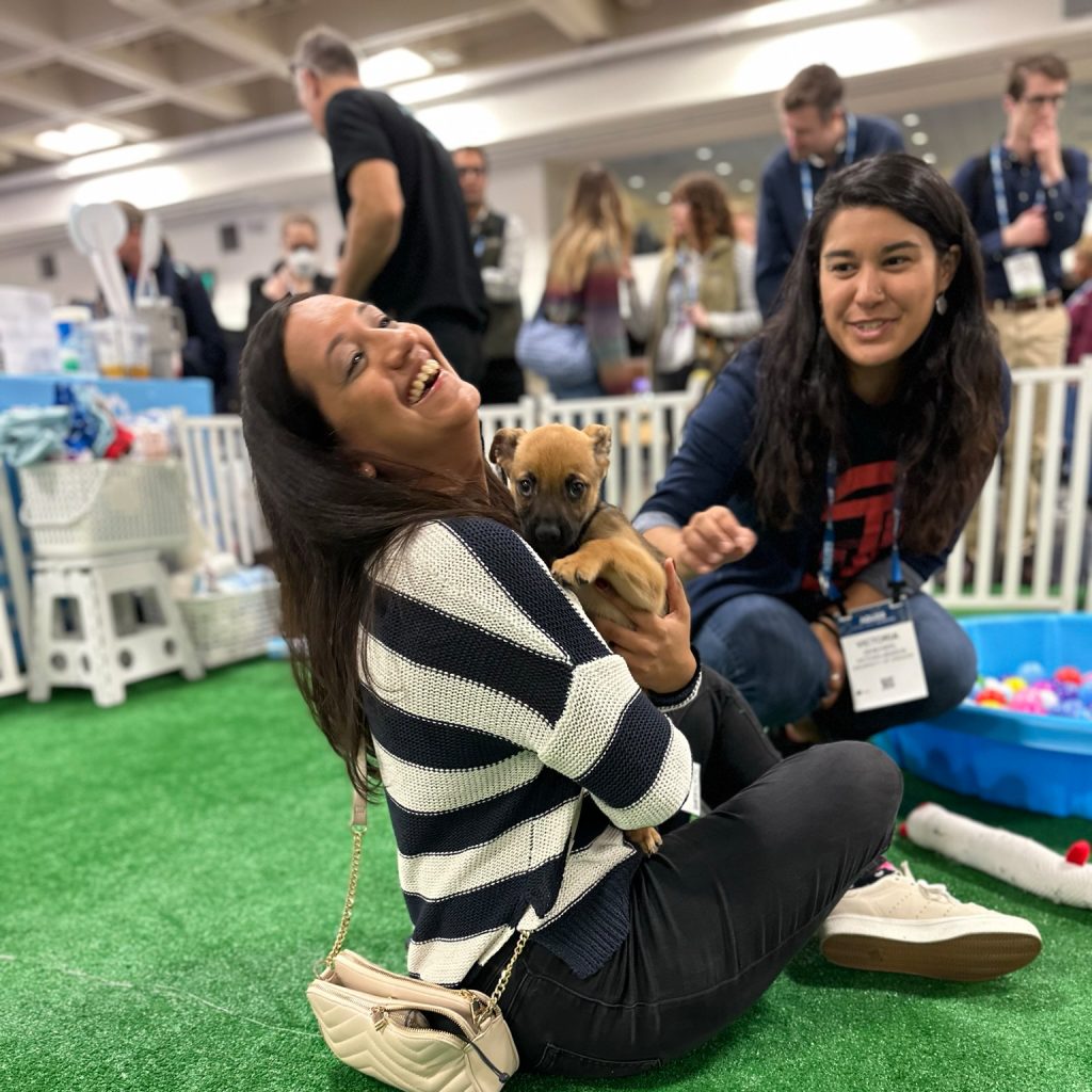 image001 Interactive Puppy Therapy at a corporate event or conference