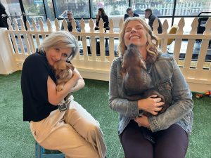 Interactive puppy therapy at a corporate event or conference