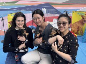 Wellness activities matter (and puppies make them even better! ) 1