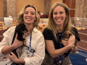 The rise of pet-friendly workplaces: a win-win for employees and employers 2