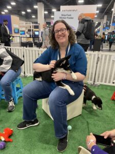 Why puppy playtime might be the secret sauce to high-performing teams 2