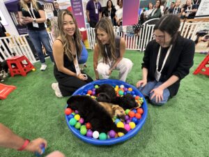 Corporate entertainment that builds culture and bonds hybrid teams, with puppies! 1