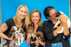 Three women hold adorable puppies against a bright blue background, smiling and enjoying the moment.