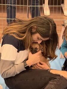 Puppy power and appreciation: why your team needs more than a pat on the back 3