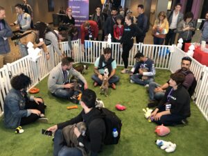 Puppy power and appreciation: why your team needs more than a pat on the back 2