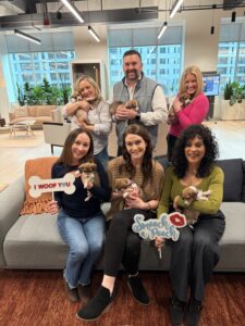 Create a puppy wellness space at your office that actually works 1