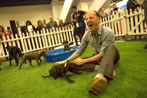 Puppy power and appreciation: why your team needs more than a pat on the back 4